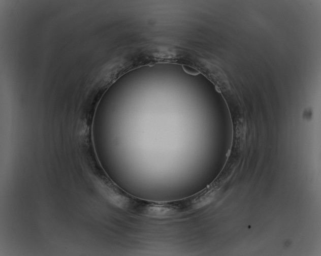 X0000097770614200803071319