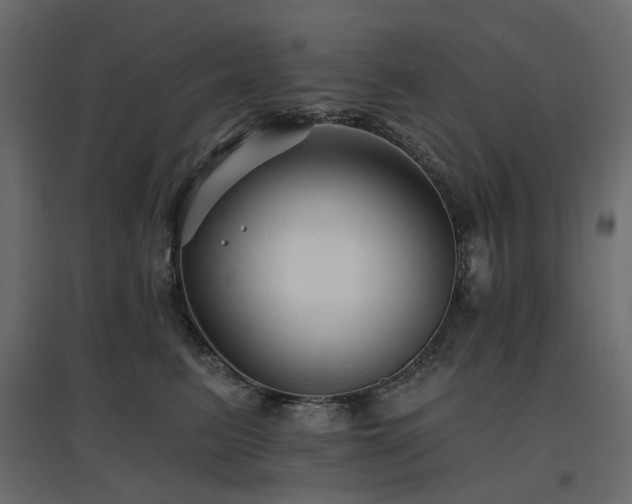 X0000097770615200803071319