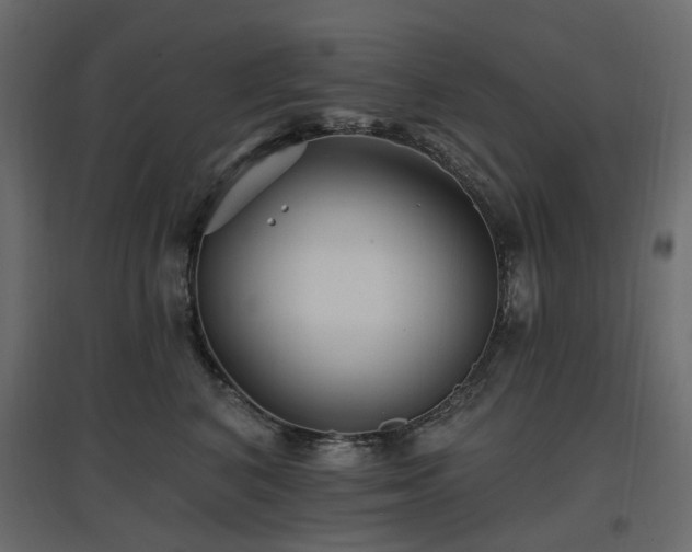 X0000097770616200803071319