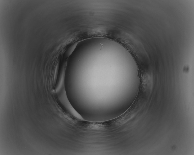X0000097770617200803071319