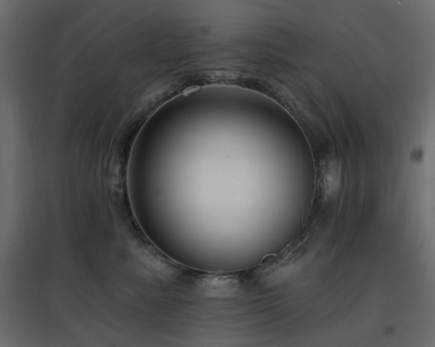 X0000097770619200803071319