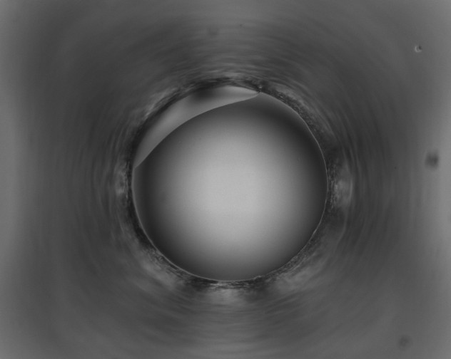 X0000097770620200803071319