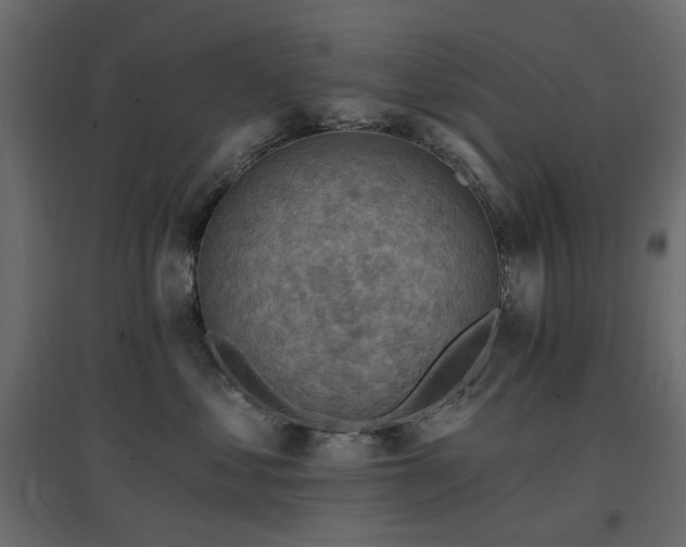 X0000097770621200803071319