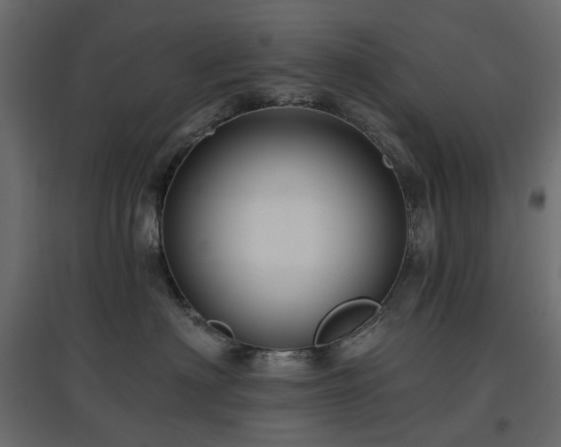 X0000097770622200803071319