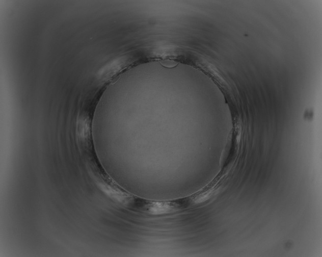 X0000097770623200803071319