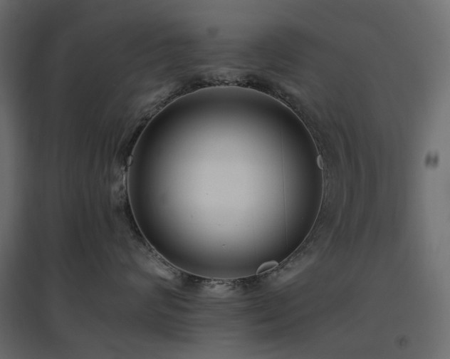 X0000097770624200803071319