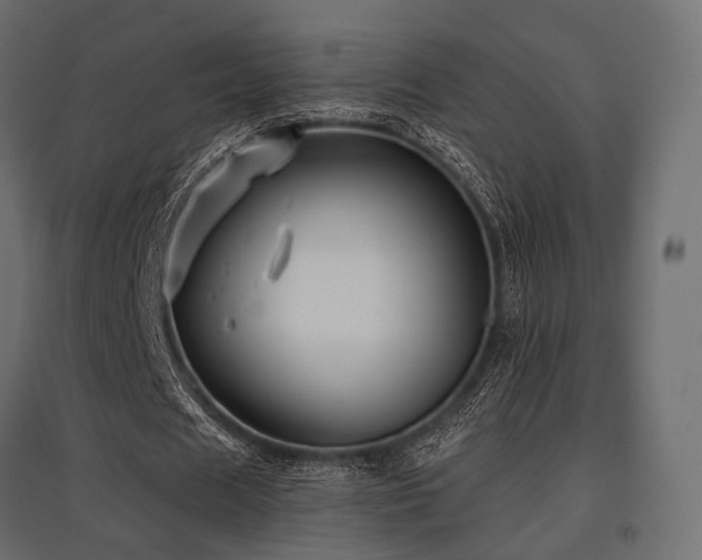 X0000097770625200803071318