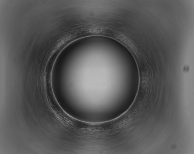 X0000097770626200803071318