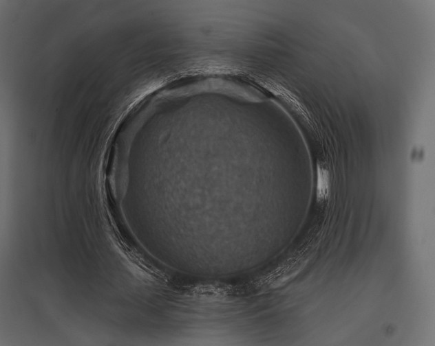 X0000097770627200803071318