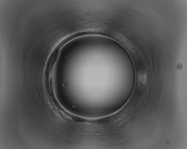 X0000097770628200803071318