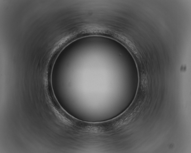 X0000097770629200803071318