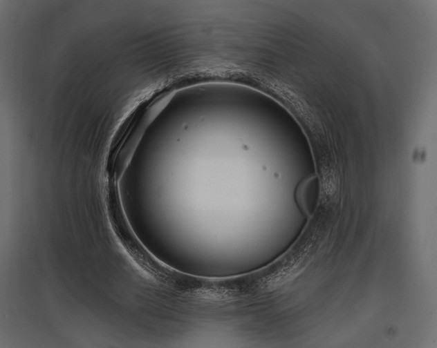 X0000097770630200803071318