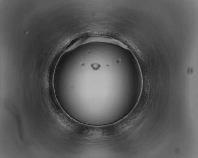 X0000097770631200803071318