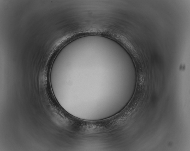 X0000097770632200803071318
