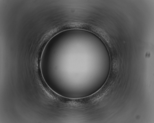 X0000097770633200803071318