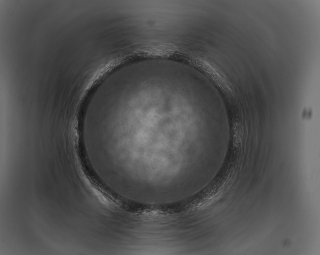 X0000097770634200803071318