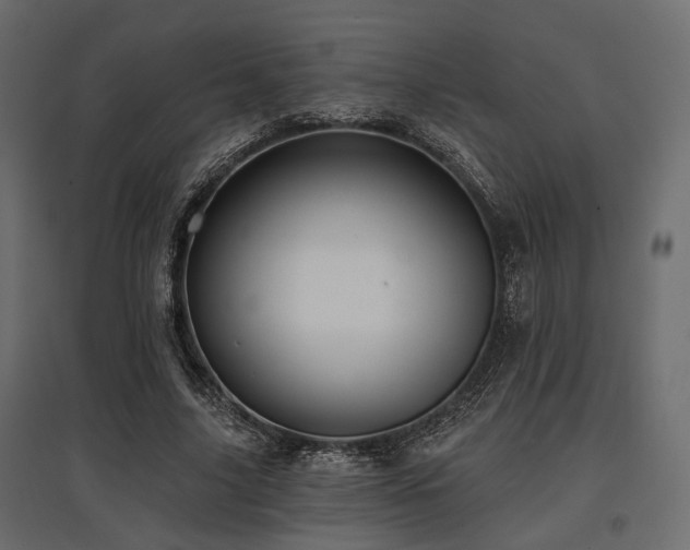X0000097770635200803071318