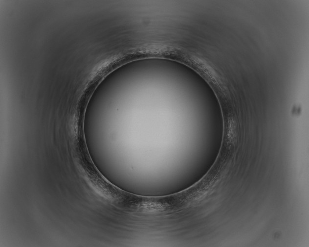 X0000097770636200803071318