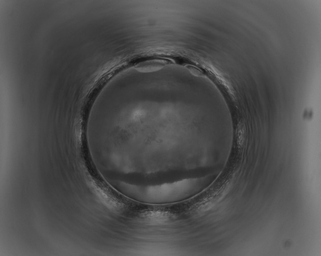 X0000097770637200803071318