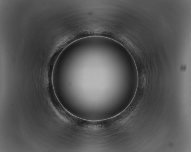 X0000097770638200803071318