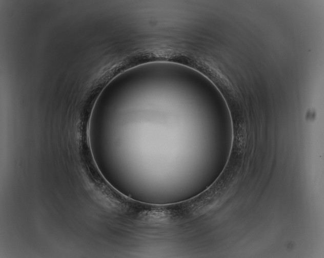 X0000097770639200803071318