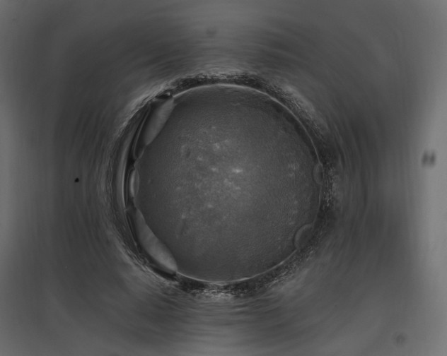 X0000097770640200803071318