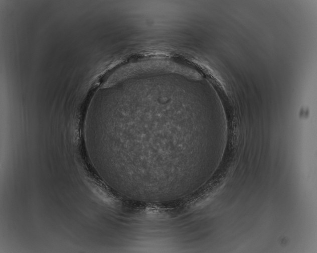 X0000097770641200803071318