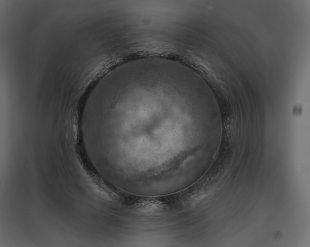 X0000097770642200803071318