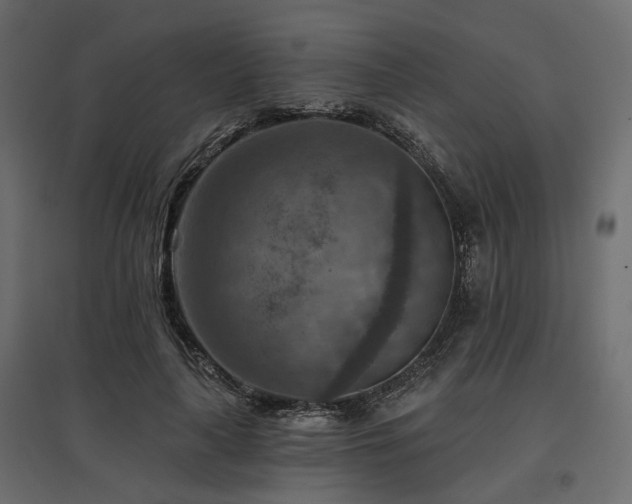 X0000097770643200803071318