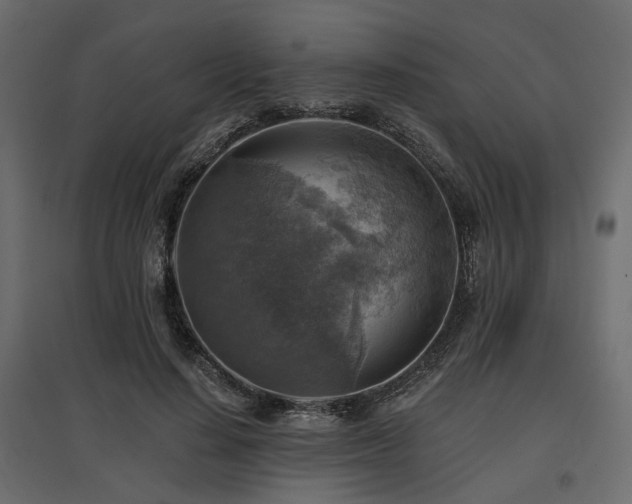 X0000097770644200803071318