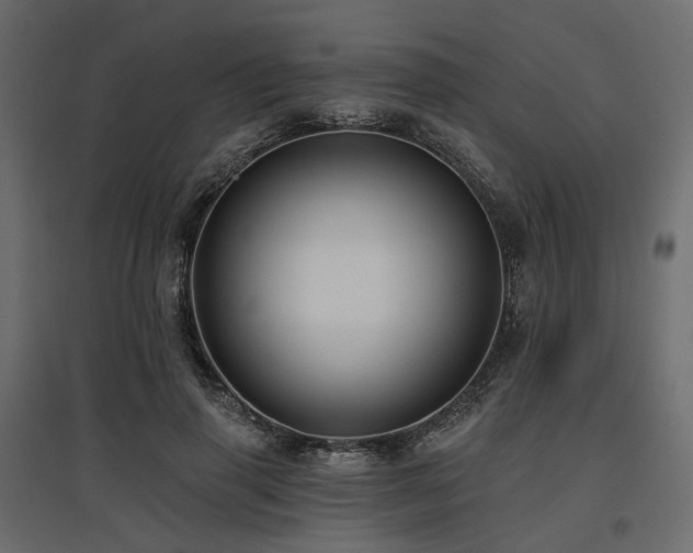 X0000097770645200803071318