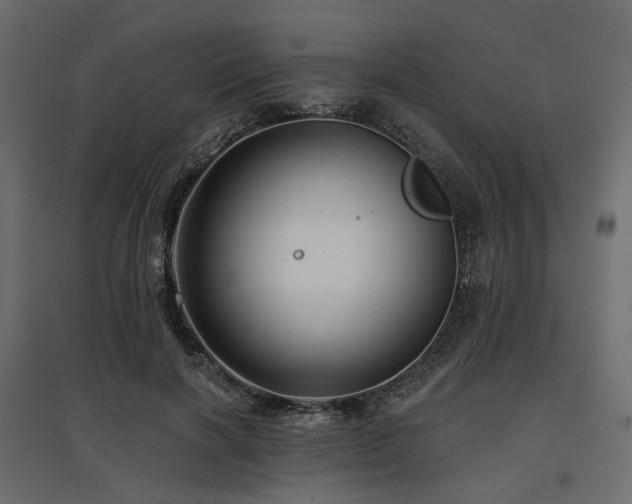 X0000097770646200803071318