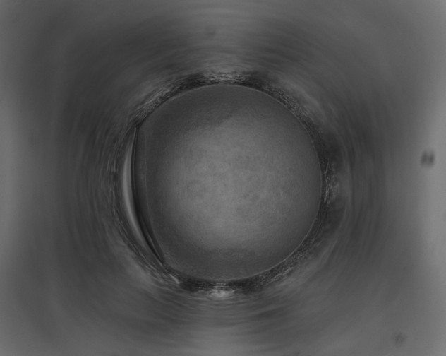 X0000097770647200803071318
