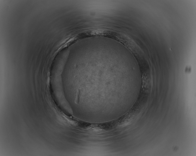 X0000097770648200803071318