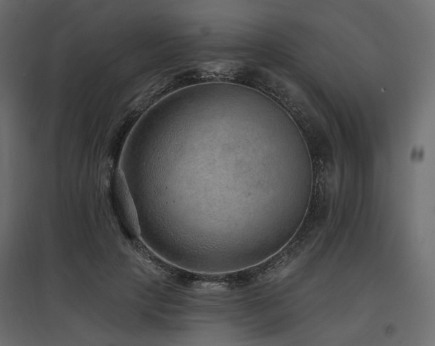 X0000097770649200803071318
