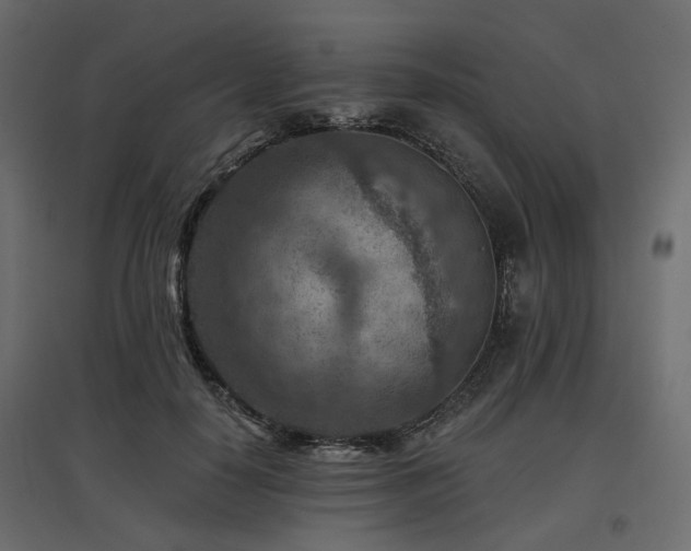 X0000097770650200803071318