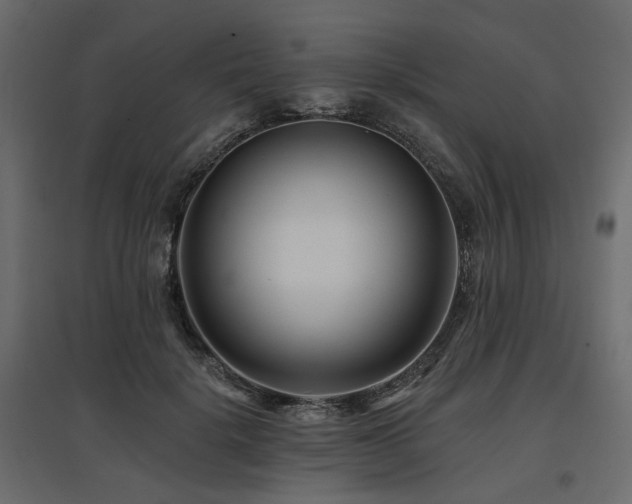 X0000097770652200803071318