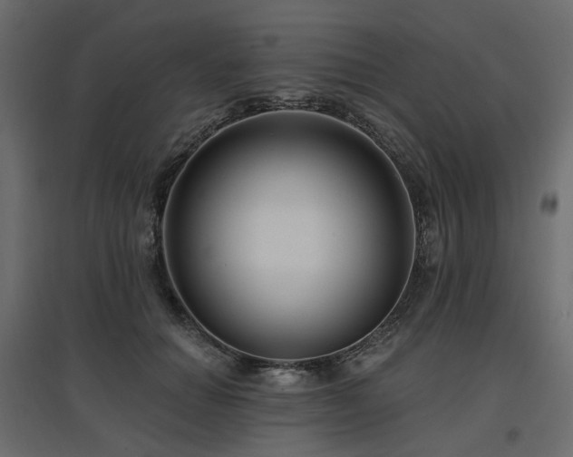 X0000097770654200803071318