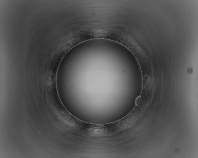 X0000097770655200803071318
