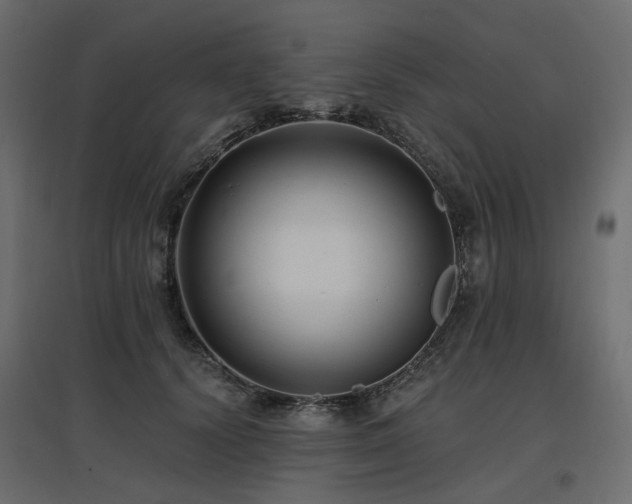 X0000097770656200803071318