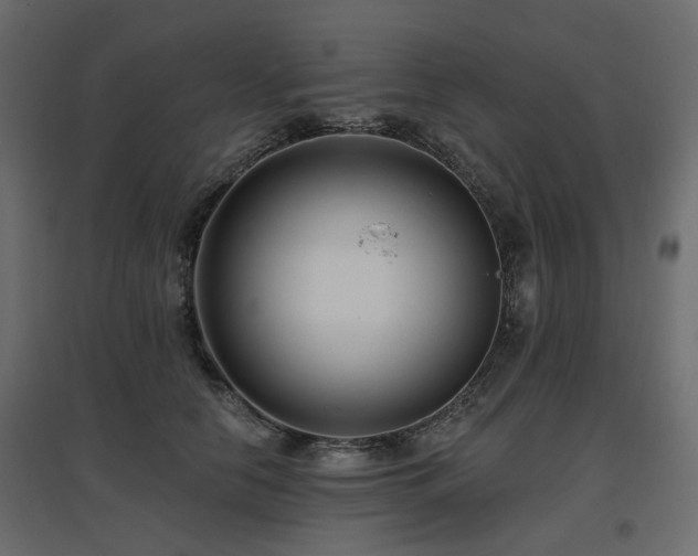 X0000097770658200803071318