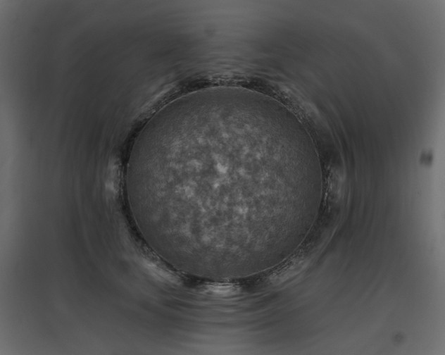 X0000097770659200803071318