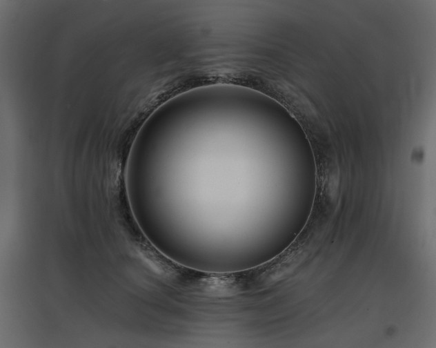 X0000097770660200803071318