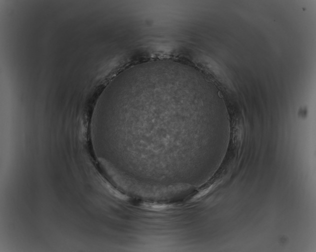 X0000097770661200803071318
