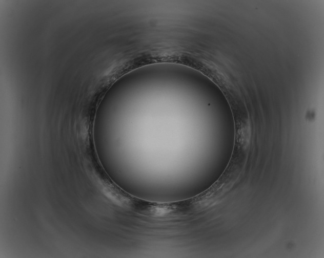 X0000097770662200803071318