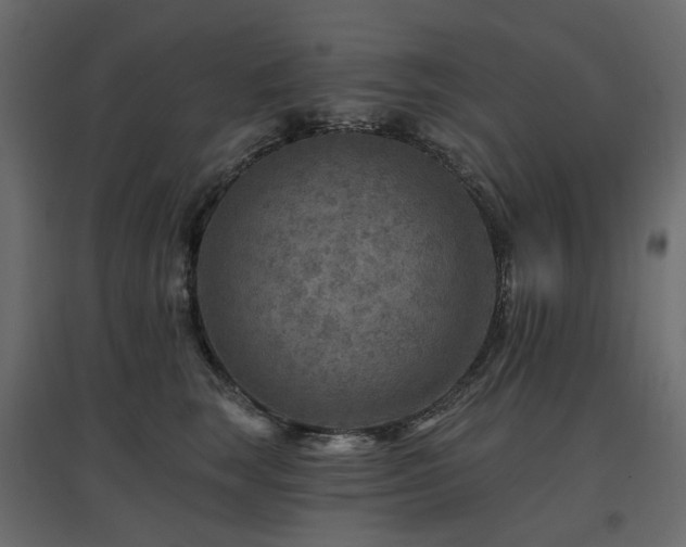 X0000097770663200803071318