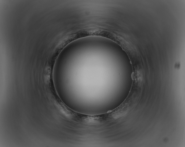 X0000097770664200803071318