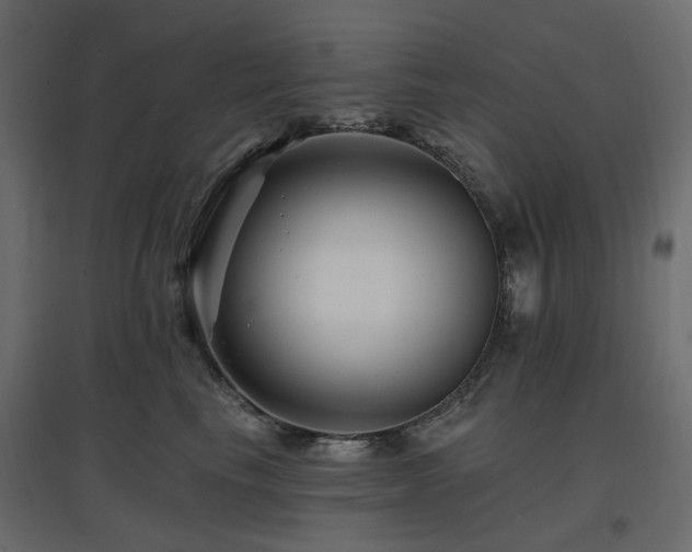 X0000097770665200803071318