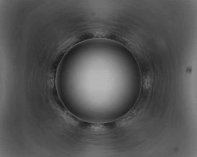 X0000097770666200803071318