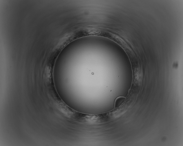 X0000097770667200803071319